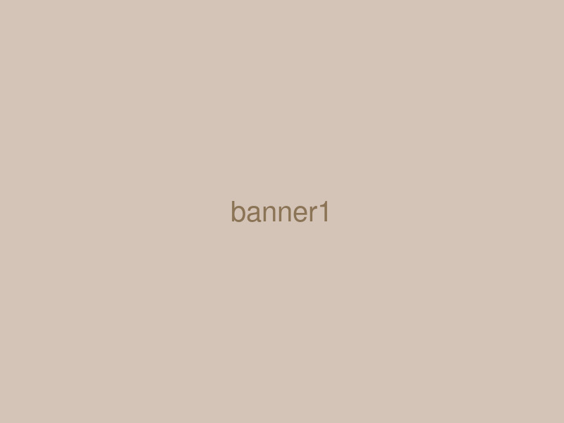 网站建设 Banner